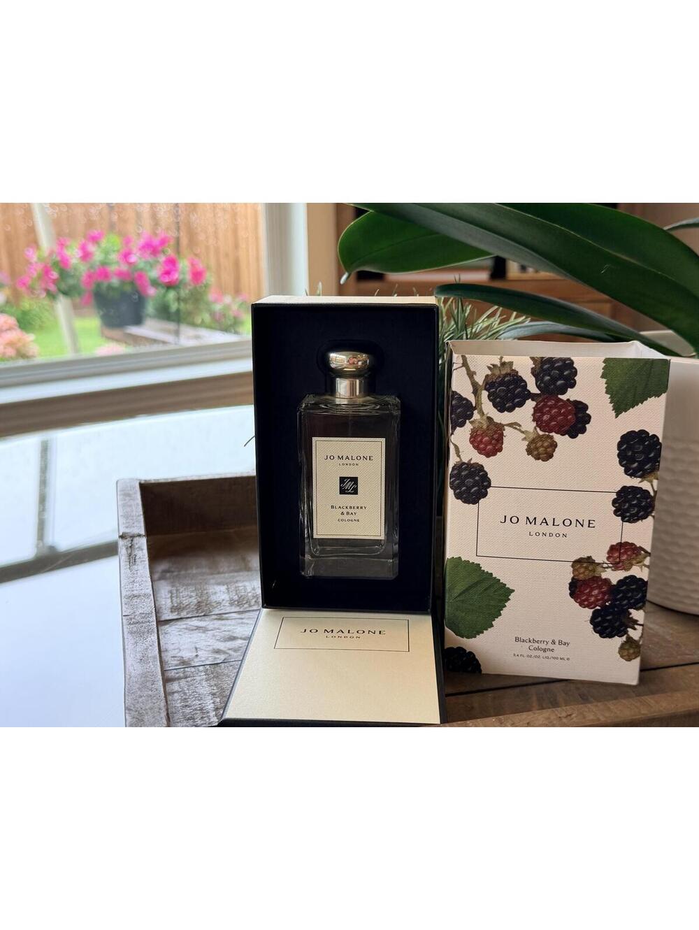 $170 Authentic Jo Malone London Blackberry & Bay Cologne 100mL/3.4oz NIB